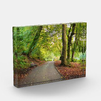 Autumn photo block