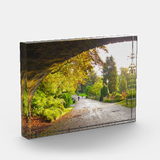 Autumn photo block