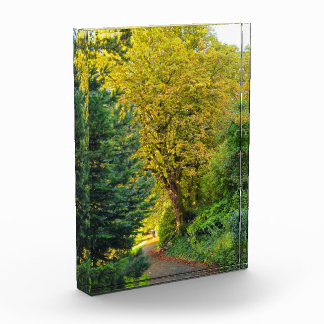 Autumn photo block