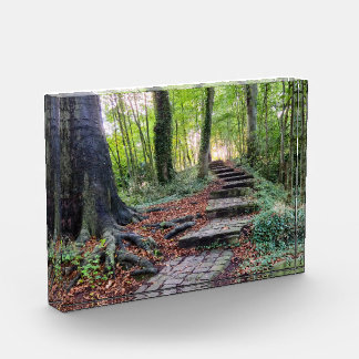 Autumn photo block