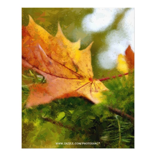 Autumn Photo Print (Front)