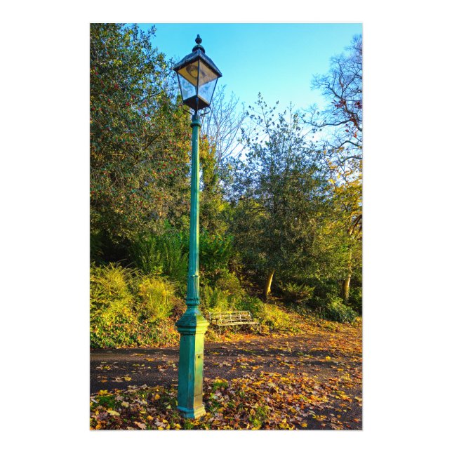 Autumn  photo print (Front)