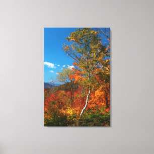 Autumn Pictures Canvas Print