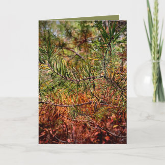 Autumn Pine Needles  Card