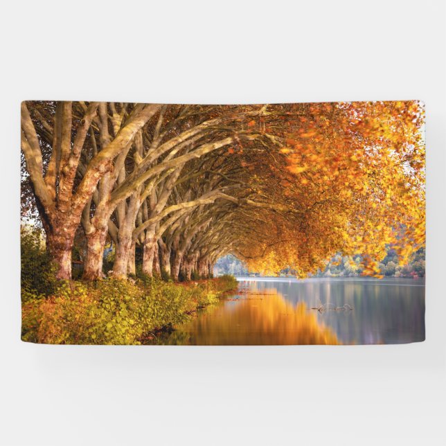 Autumn Plane Trees Over a Lake Banner (Horizontal)