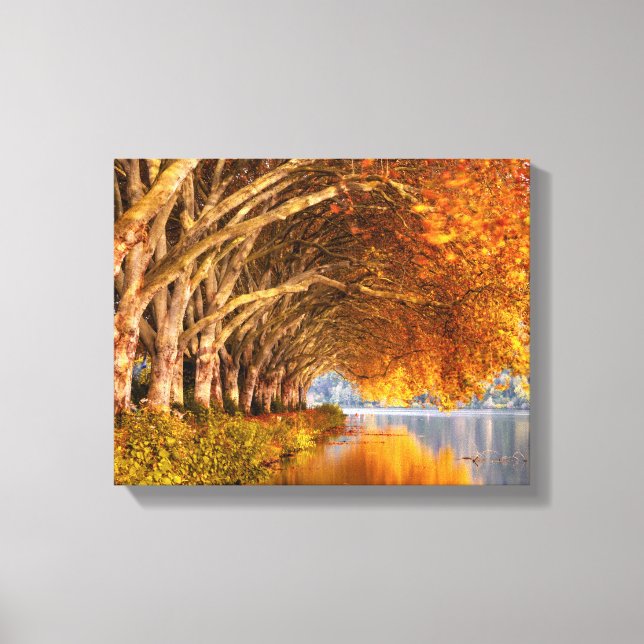 Autumn Plane Trees Over a Lake Canvas Print (Front)
