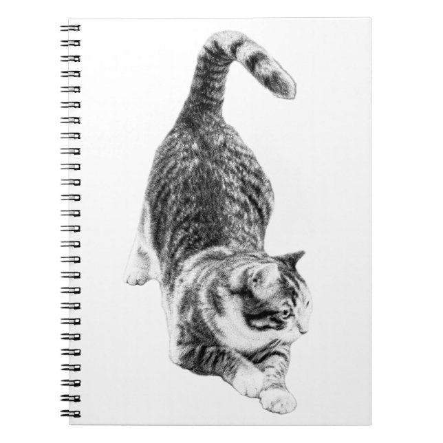 Autumn Plans With a Prowling Cat Notebook (Front)