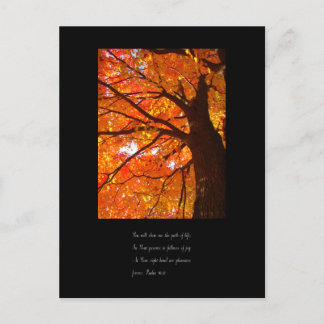 Autumn Pleasures II Postcard