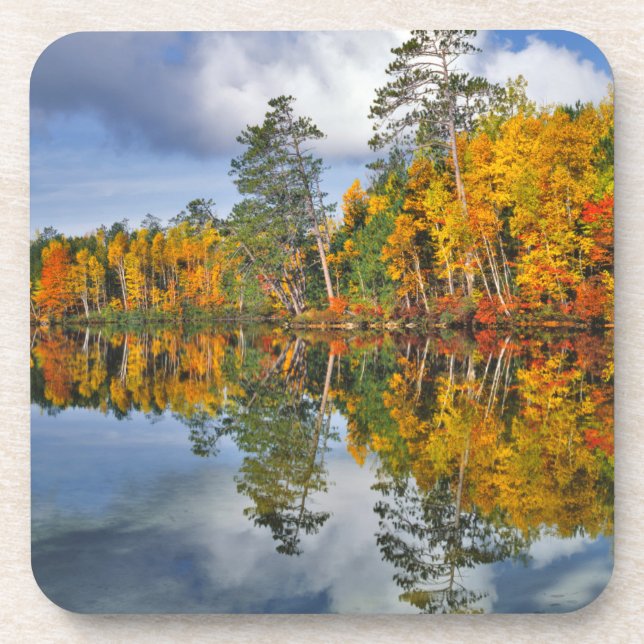 Autumn pond reflections, Maine Coaster (Front)