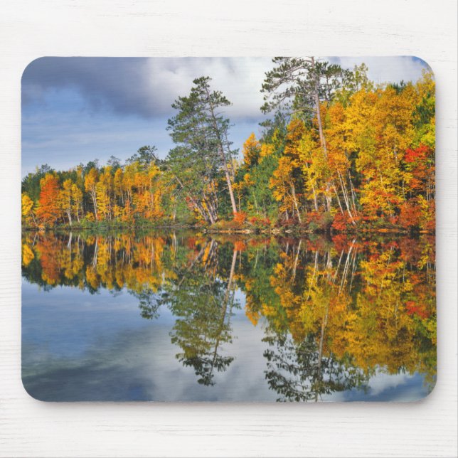 Autumn pond reflections, Maine Mouse Mat (Front)