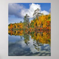 Autumn pond reflections, Maine