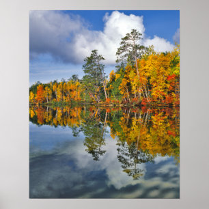 Autumn pond reflections, Maine Poster