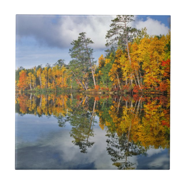 Autumn pond reflections, Maine Tile (Front)