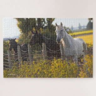 Autumn Portrait of Three Horses Jigsaw Puzzle