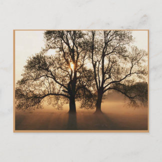 Autumn Post Card