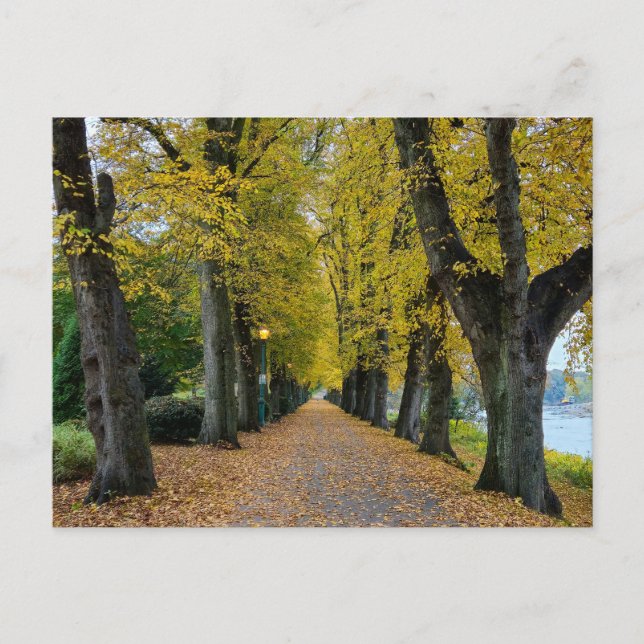 Autumn  postcard (Front)