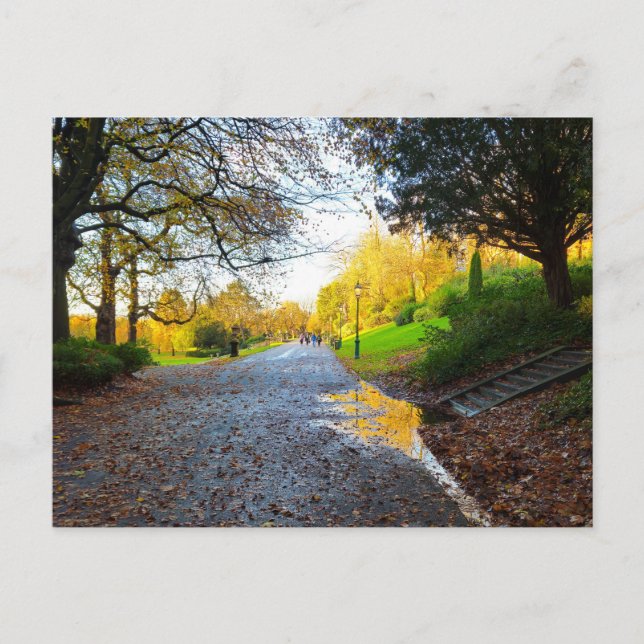 Autumn  postcard (Front)