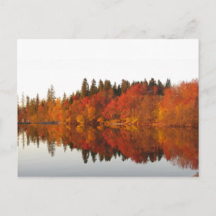 Autumn Postcard