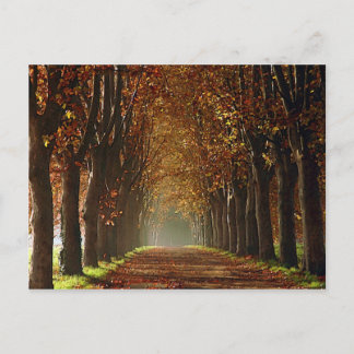 autumn postcard