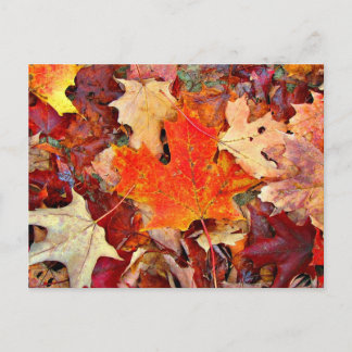 Autumn Postcard