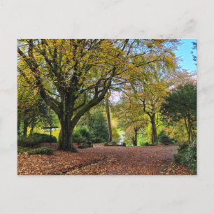 Autumn Postcard