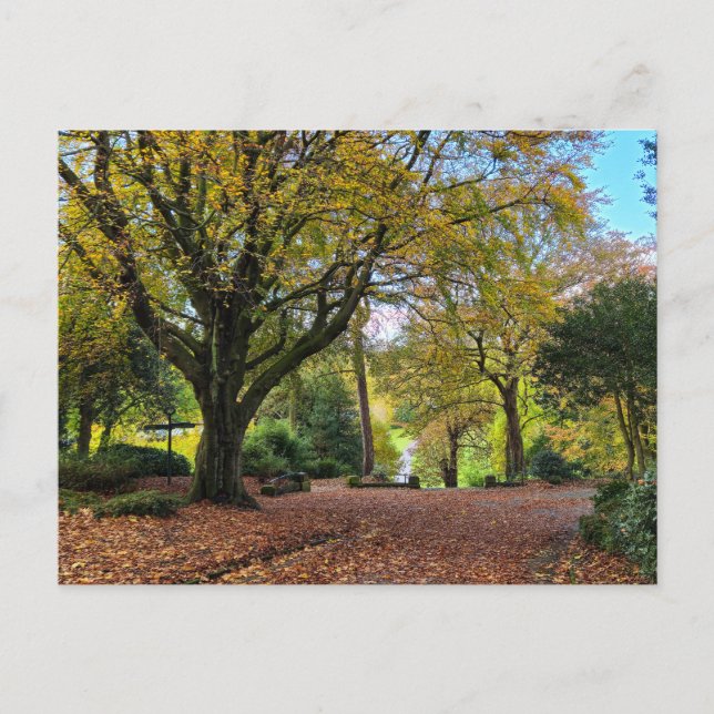 Autumn Postcard (Front)