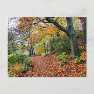 Autumn postcard