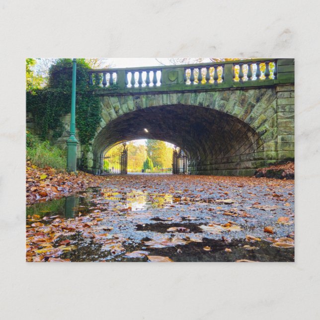 Autumn  postcard (Front)