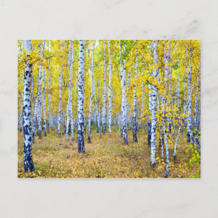 Autumn Postcard