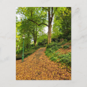 Autumn Postcard