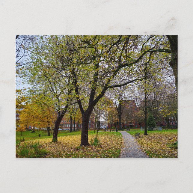 Autumn  postcard (Front)