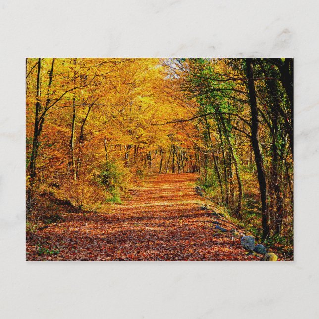 Autumn Postcard (Front)