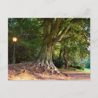 Autumn postcard
