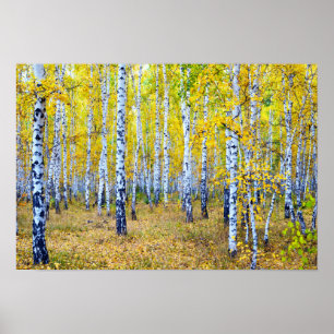 Autumn Poster