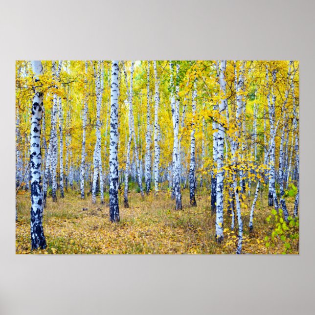 Autumn Poster (Front)