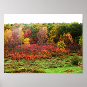 AUTUMN POSTER