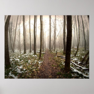 autumn poster