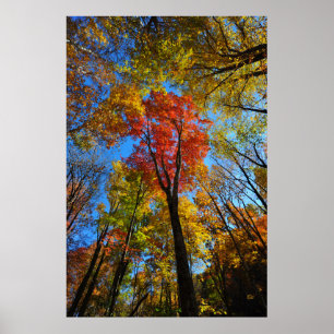 Autumn Poster