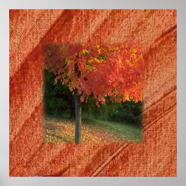 Autumn Print (Front)