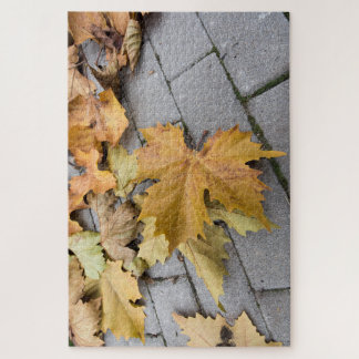 autumn proofs jigsaw puzzle