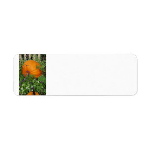 Autumn Pumpkin garden Address Label