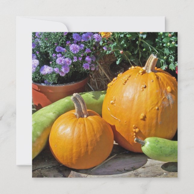 Autumn Pumpkins and Flowers (Front)