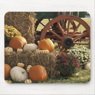 Autumn Pumpkins And Mum Display Mouse Mat