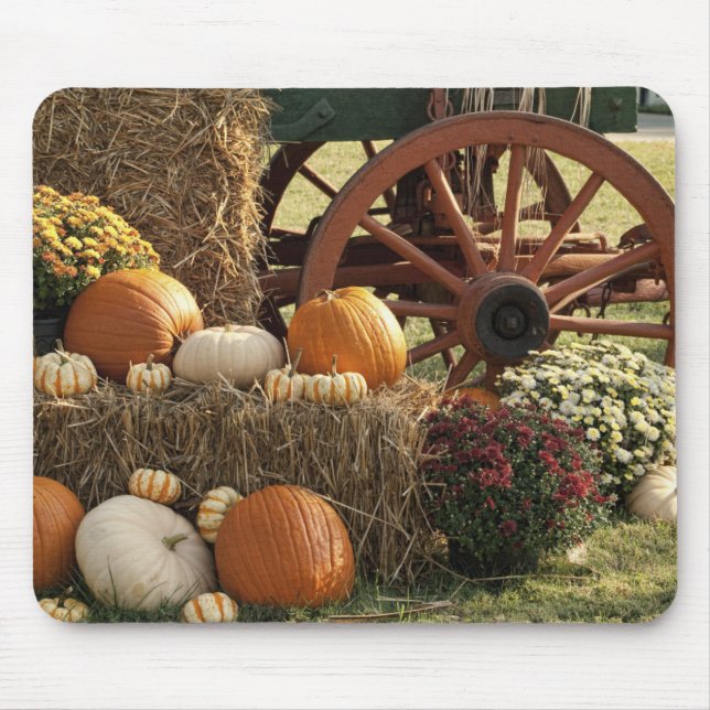 Autumn Pumpkins And Mum Display Mouse Mat (Front)