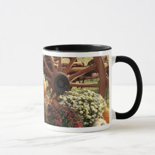Autumn Pumpkins And Mum Display Mug