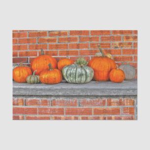 Autumn Pumpkins Bright Orange Brick Background Tissue Paper