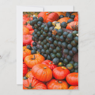 Autumn Pumpkins Close Up Thank You Card