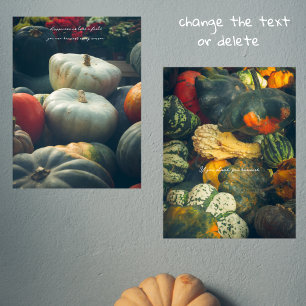 Autumn pumpkins in a rustic garden