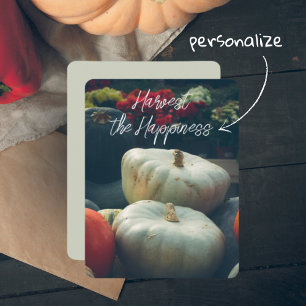  Autumn pumpkins in a rustic garden Holiday Card