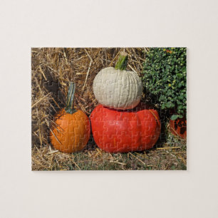 Autumn pumpkins jigsaw puzzle